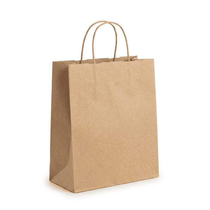 Sac kraft